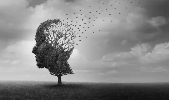 Alzheimer und Lebenserwartung